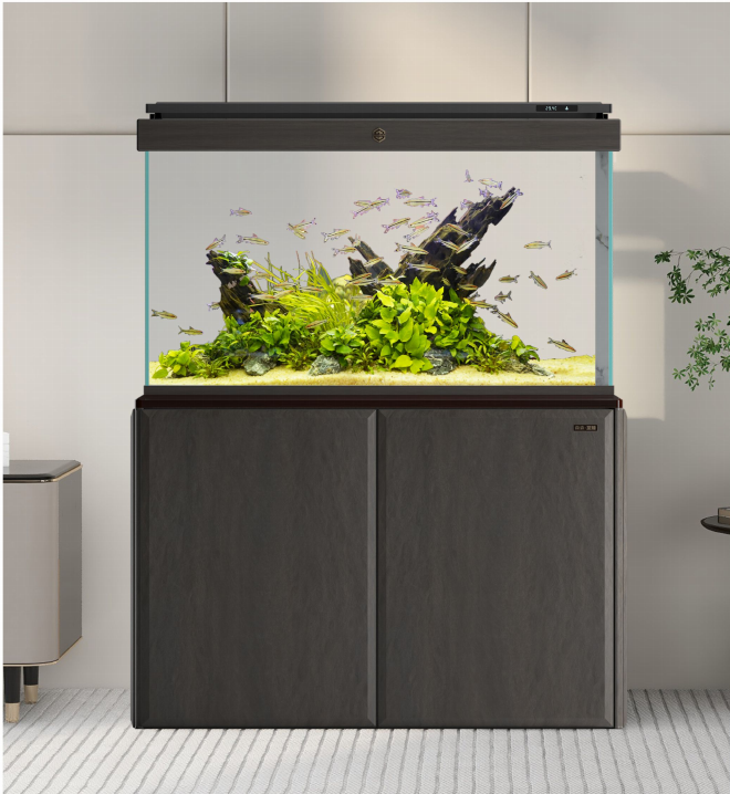 Home Aquariums